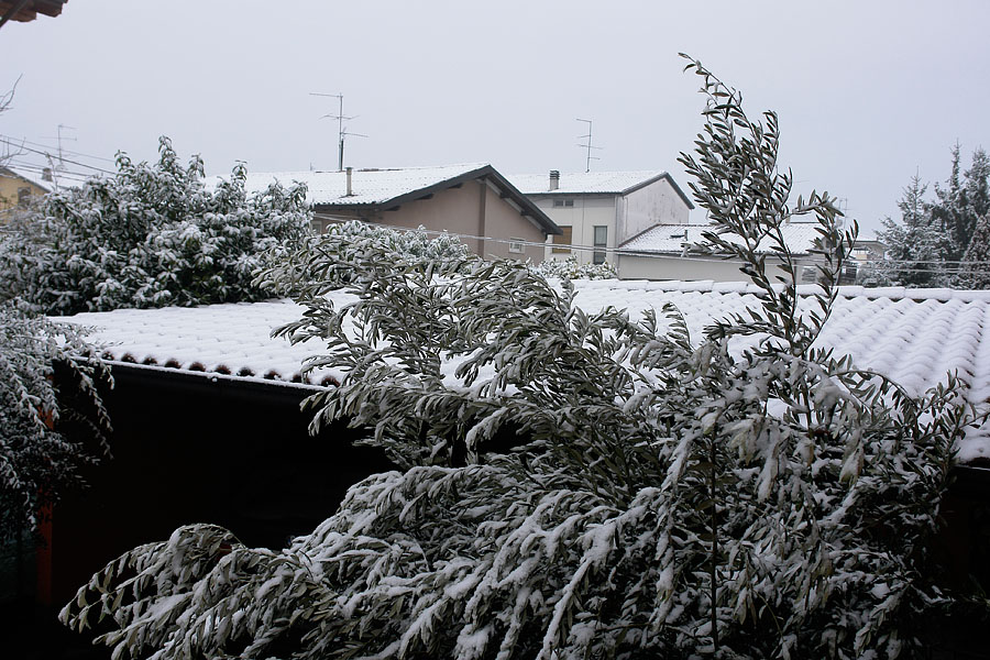Image Image