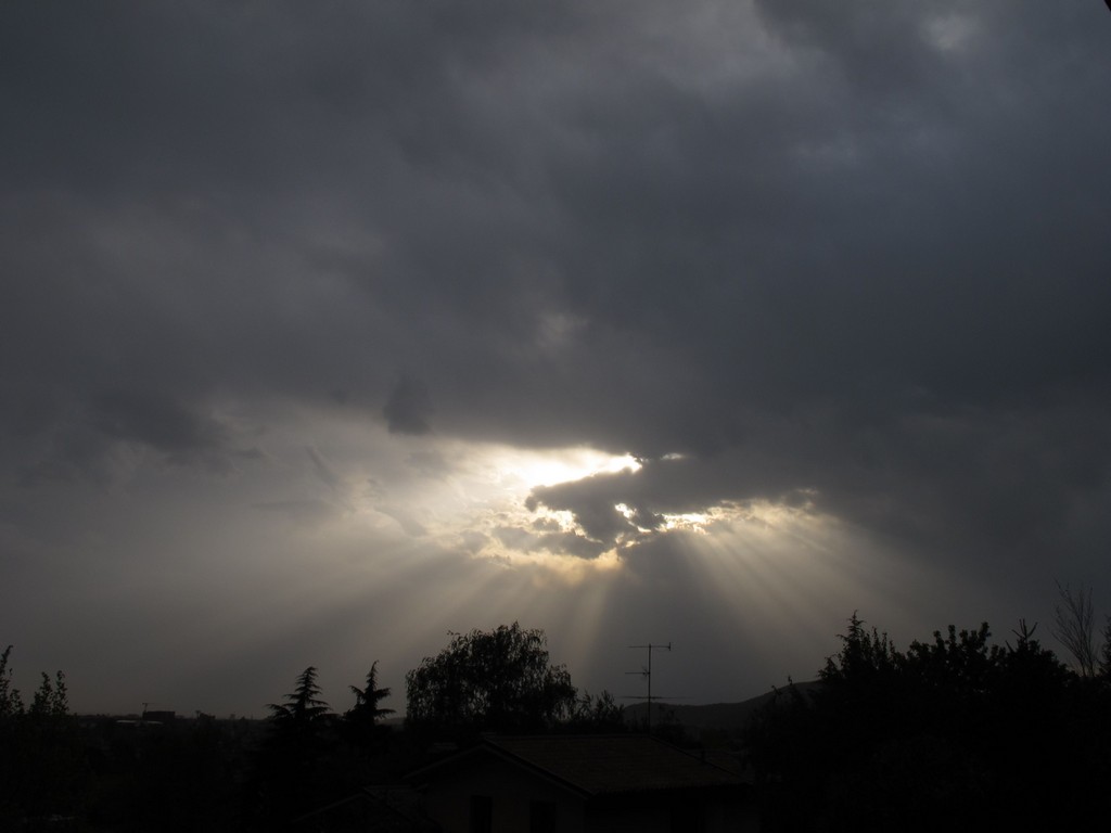 Immagine